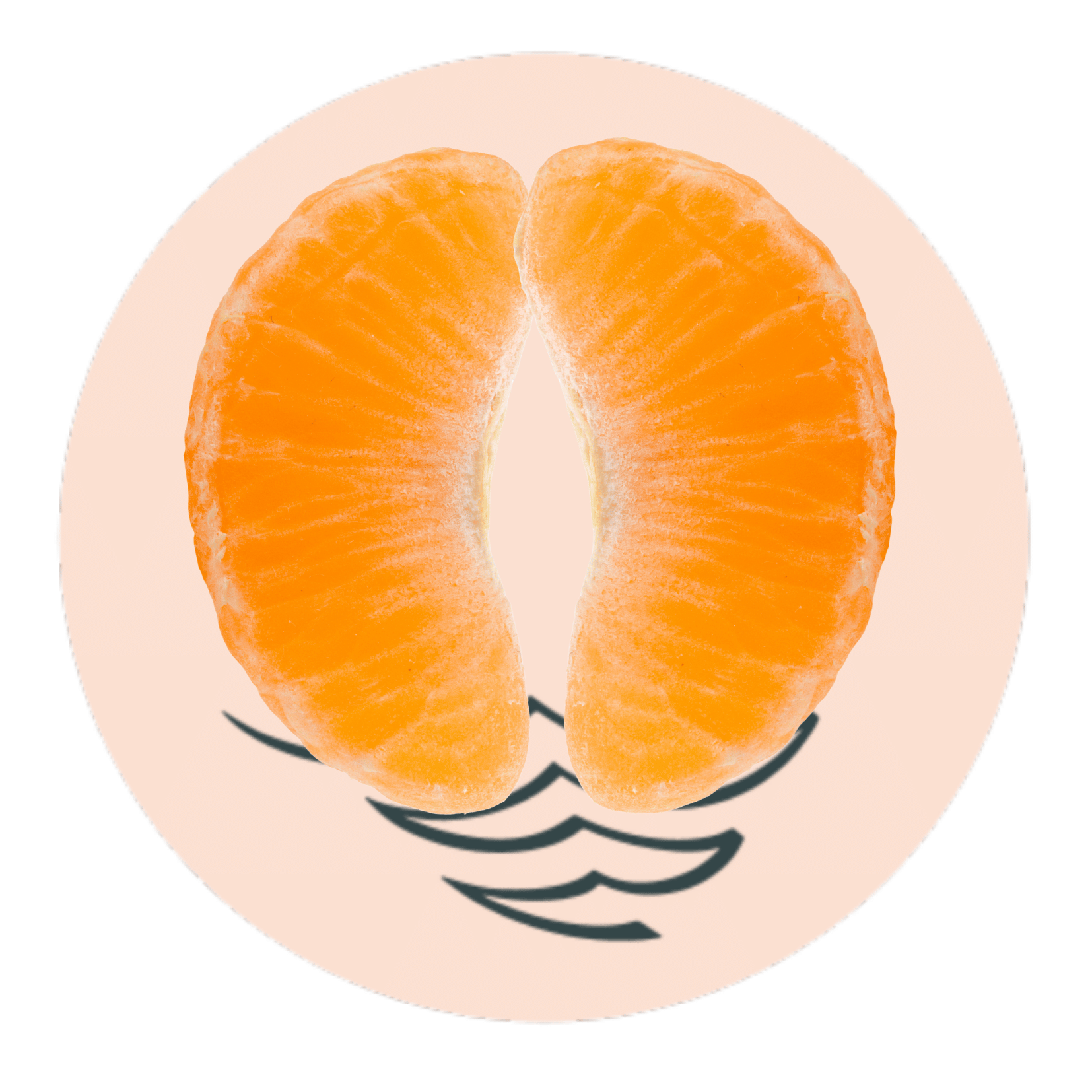 7_20260301_091745_0006