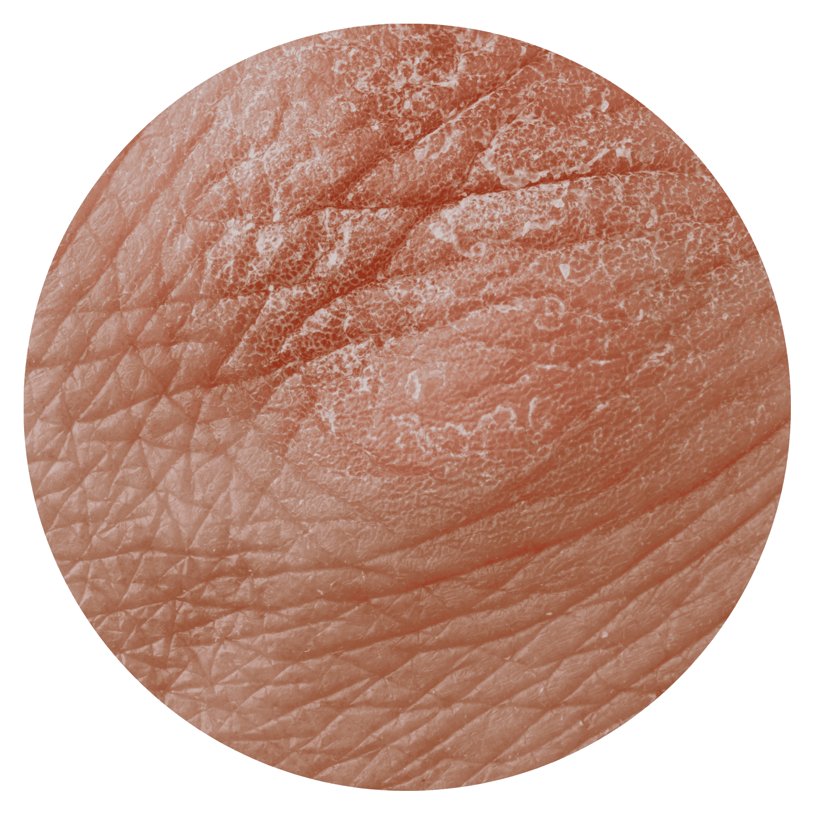 Untitled design_20260301_092431_0000